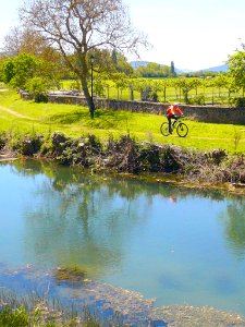Foronda - Rio Zalla 13