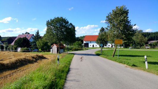 Forsthofen, Ettringen photo