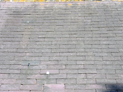 Former Providence Chapel, Chapel Road, Charlwood (NHLE Code 1277978) (August 2016) (Roof)