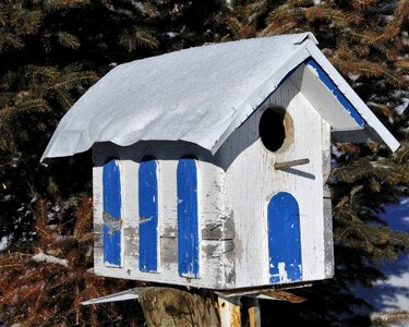 Bird house bird birdhouse photo