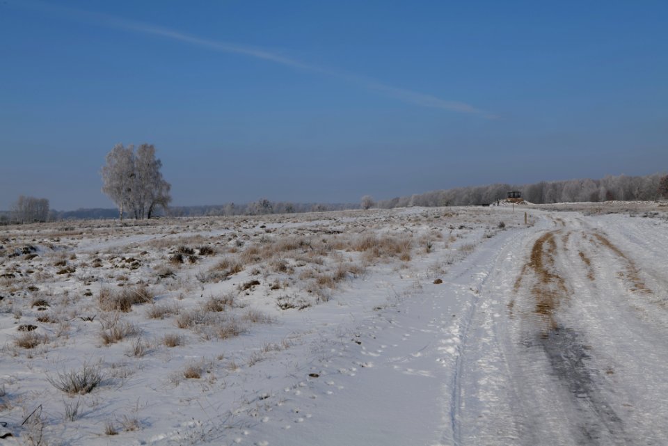 Ferbitzer Bruch Döberitzer Heide round trail with snow 2021-02-14 35