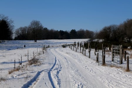 Ferbitzer Bruch Döberitzer Heide round trail with snow 2021-02-14 68
