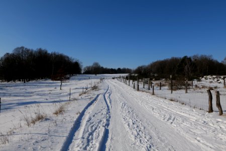 Ferbitzer Bruch Döberitzer Heide round trail with snow 2021-02-14 66