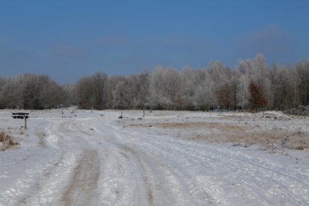 Ferbitzer Bruch Döberitzer Heide round trail with snow 2021-02-14 29