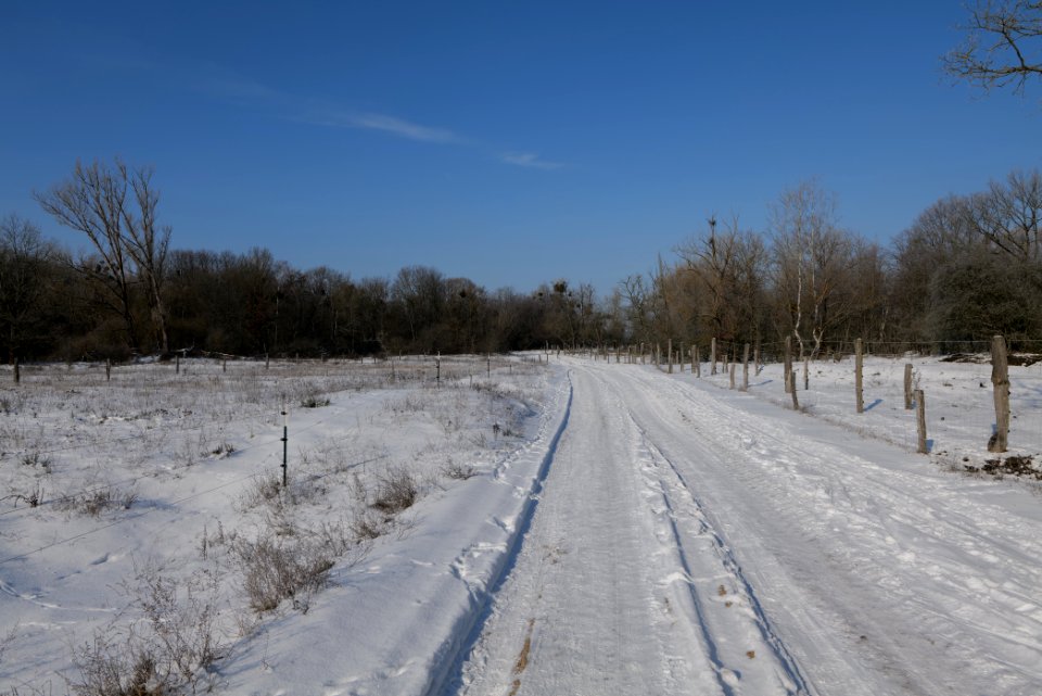 Ferbitzer Bruch Döberitzer Heide round trail with snow 2021-02-14 44