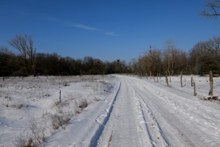Ferbitzer Bruch Döberitzer Heide round trail with snow 2021-02-14 44