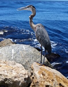 Nature beach florida