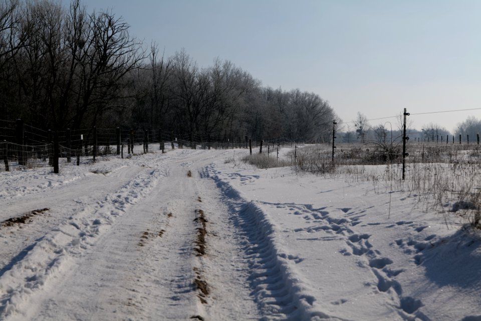 Ferbitzer Bruch Döberitzer Heide round trail with snow 2021-02-14 40