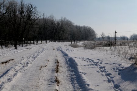 Ferbitzer Bruch Döberitzer Heide round trail with snow 2021-02-14 40