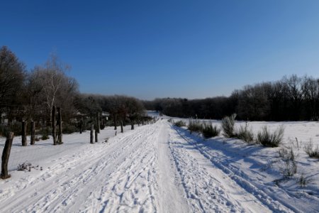 Ferbitzer Bruch Döberitzer Heide round trail with snow 2021-02-14 63