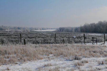 Ferbitzer Bruch Döberitzer Heide wilderness area with snow 2021-02-14 20