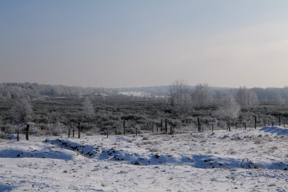 Ferbitzer Bruch Döberitzer Heide wilderness area with snow 2021-02-14 12