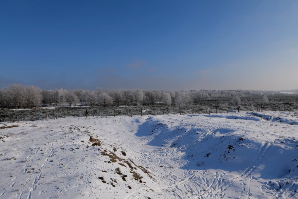 Ferbitzer Bruch Döberitzer Heide wilderness area with snow 2021-02-14 16