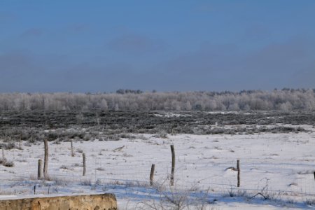 Ferbitzer Bruch Döberitzer Heide wilderness area with snow 2021-02-14 27