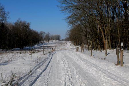 Ferbitzer Bruch Döberitzer Heide round trail with snow 2021-02-14 59