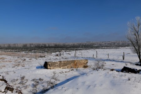 Ferbitzer Bruch Döberitzer Heide wilderness area with snow 2021-02-14 24