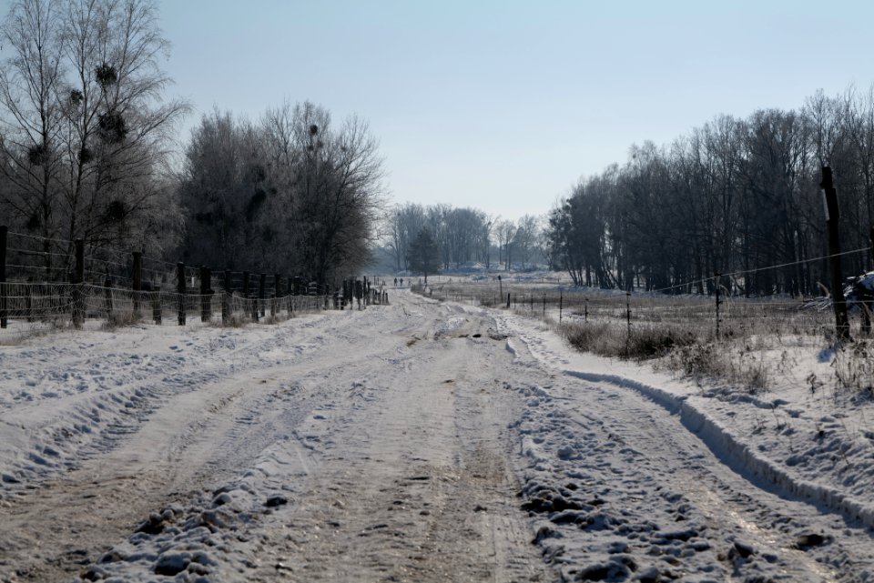 Ferbitzer Bruch Döberitzer Heide round trail with snow 2021-02-14 50