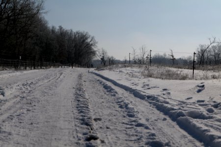 Ferbitzer Bruch Döberitzer Heide round trail with snow 2021-02-14 43