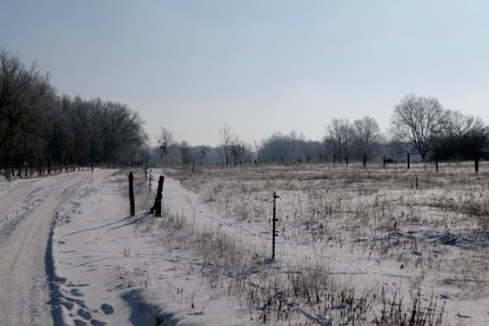 Ferbitzer Bruch Döberitzer Heide round trail with snow 2021-02-14 42