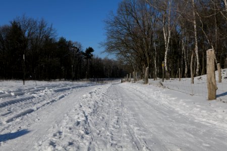 Ferbitzer Bruch Döberitzer Heide round trail with snow 2021-02-14 61