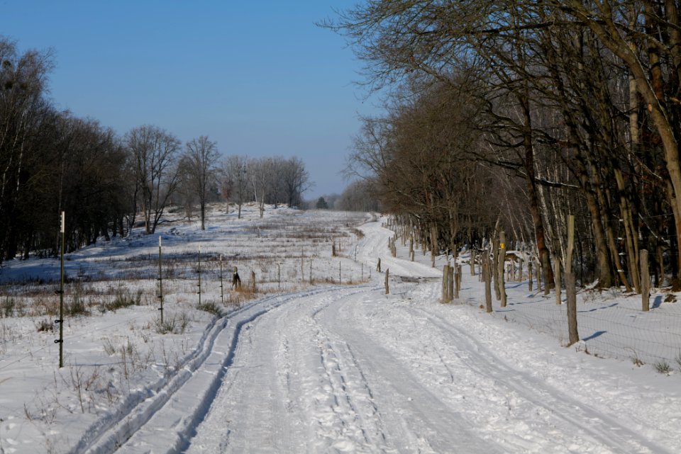 Ferbitzer Bruch Döberitzer Heide round trail with snow 2021-02-14 58