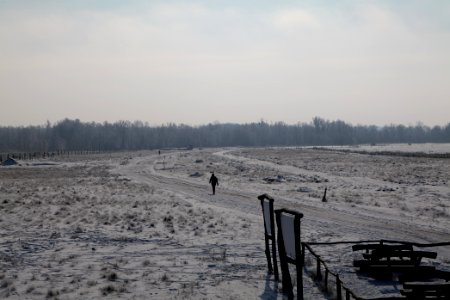 Ferbitzer Bruch Döberitzer Heide round trail with snow 2021-02-14 32