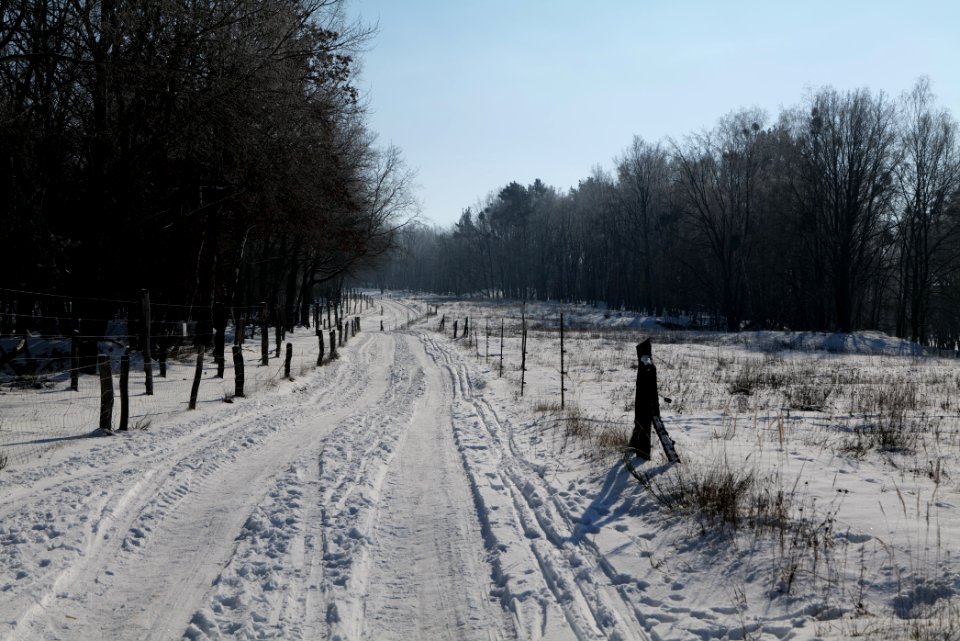 Ferbitzer Bruch Döberitzer Heide round trail with snow 2021-02-14 55