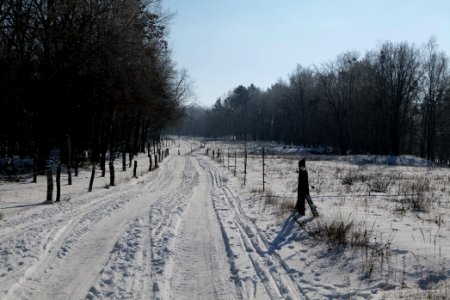 Ferbitzer Bruch Döberitzer Heide round trail with snow 2021-02-14 55
