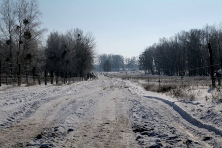 Ferbitzer Bruch Döberitzer Heide round trail with snow 2021-02-14 49
