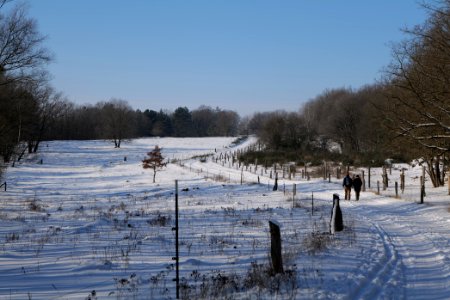 Ferbitzer Bruch Döberitzer Heide round trail with snow 2021-02-14 69