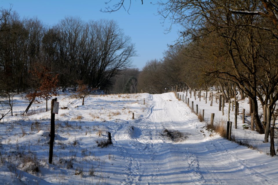 Ferbitzer Bruch Döberitzer Heide round trail with snow 2021-02-14 70