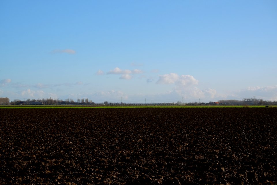 Fertile lands of the Over-Betuwe