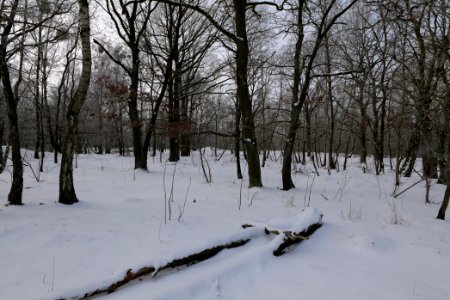 Ferbitzer Bruch with snow 2021-02-14 01