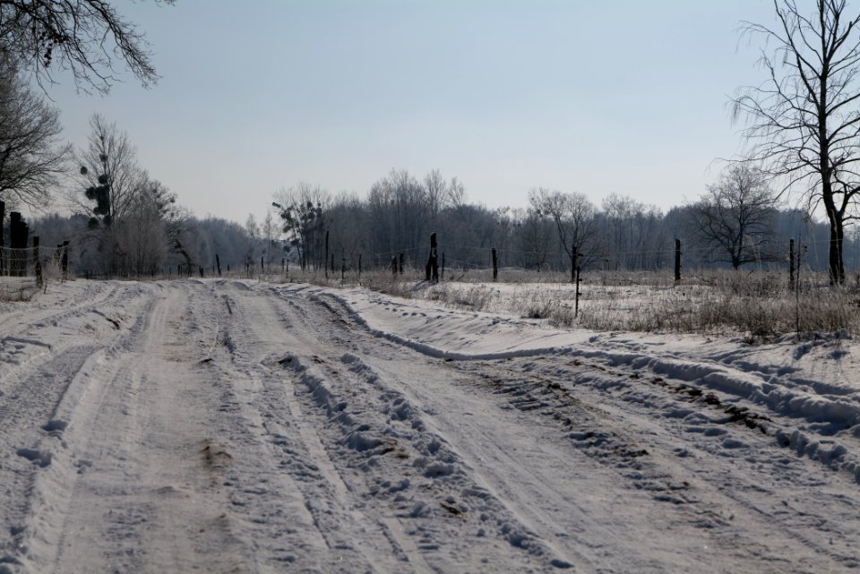 Ferbitzer Bruch Döberitzer Heide round trail with snow 2021-02-14 46