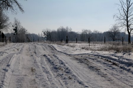 Ferbitzer Bruch Döberitzer Heide round trail with snow 2021-02-14 46