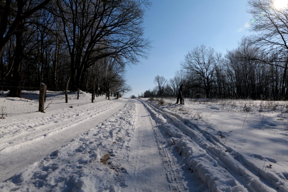 Ferbitzer Bruch Döberitzer Heide round trail with snow 2021-02-14 60