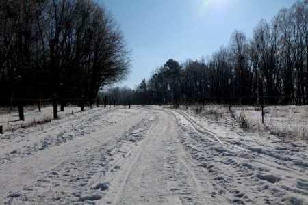 Ferbitzer Bruch Döberitzer Heide round trail with snow 2021-02-14 56