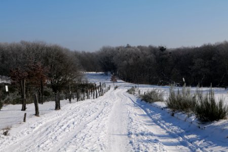 Ferbitzer Bruch Döberitzer Heide round trail with snow 2021-02-14 64