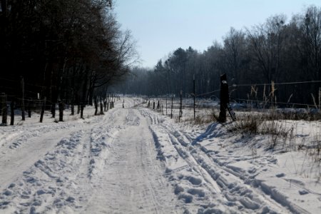 Ferbitzer Bruch Döberitzer Heide round trail with snow 2021-02-14 54