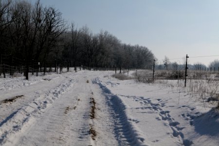 Ferbitzer Bruch Döberitzer Heide round trail with snow 2021-02-14 41
