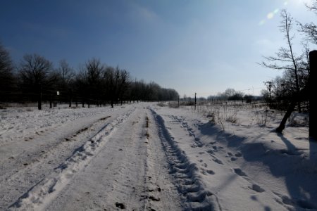 Ferbitzer Bruch Döberitzer Heide round trail with snow 2021-02-14 39