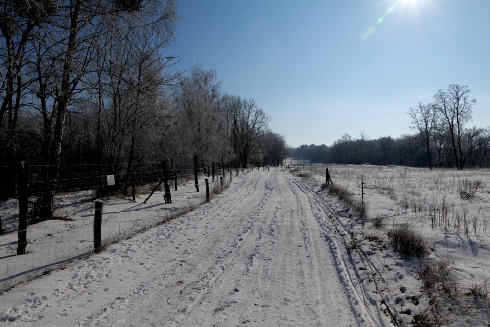 Ferbitzer Bruch Döberitzer Heide round trail with snow 2021-02-14 53