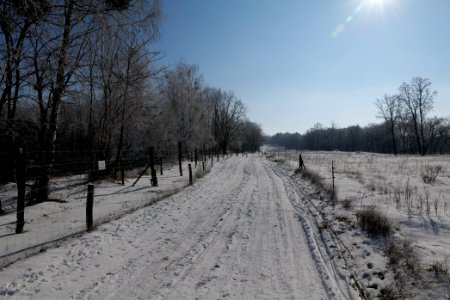 Ferbitzer Bruch Döberitzer Heide round trail with snow 2021-02-14 53