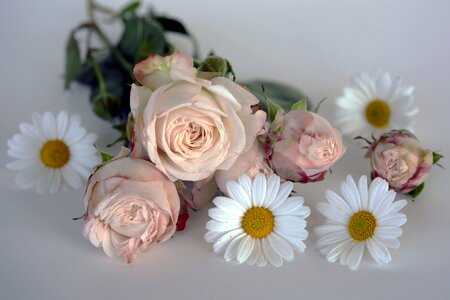 Flower romantic love
