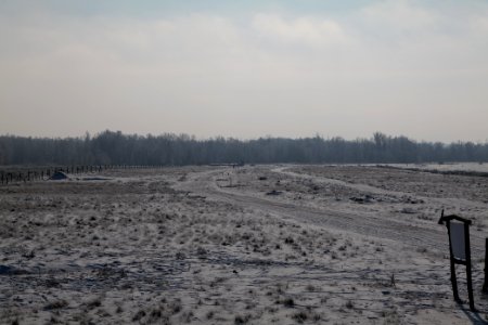 Ferbitzer Bruch Döberitzer Heide round trail with snow 2021-02-14 30