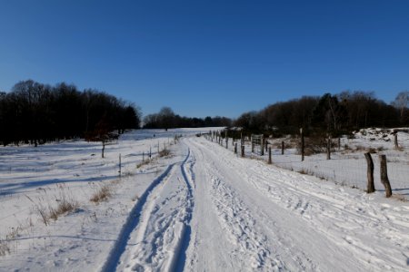 Ferbitzer Bruch Döberitzer Heide round trail with snow 2021-02-14 67