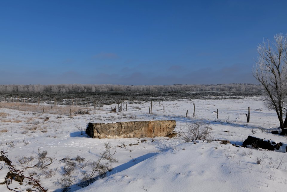 Ferbitzer Bruch Döberitzer Heide wilderness area with snow 2021-02-14 25