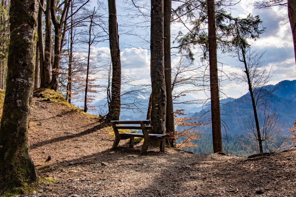 Panorama bank rest pause