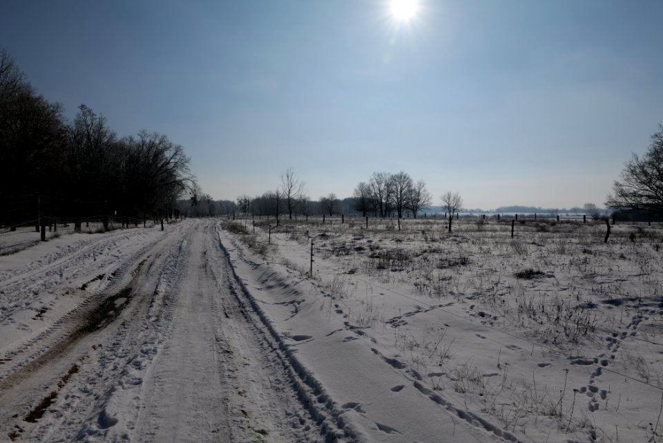 Ferbitzer Bruch Döberitzer Heide round trail with snow 2021-02-14 45
