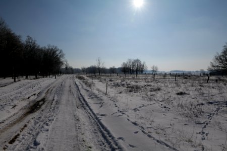 Ferbitzer Bruch Döberitzer Heide round trail with snow 2021-02-14 45